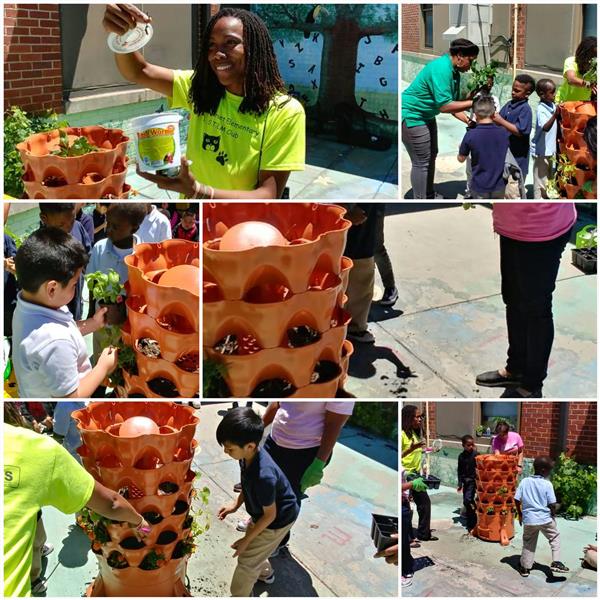 Collage of students outdoors exploring a vertical plant growing pot